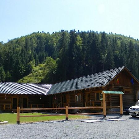 Pensiunea Mama Uta Gârda de Sus Exterior photo